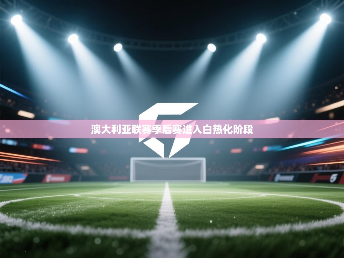 澳大利亚联赛季后赛进入白热化阶段  第2张