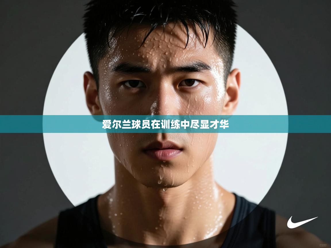 爱尔兰球员在训练中尽显才华