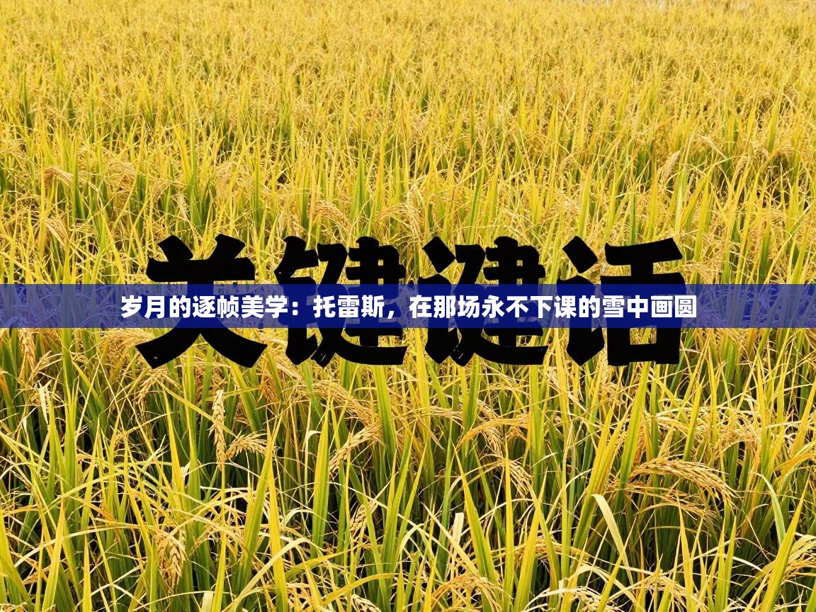 岁月的逐帧美学：托雷斯，在那场永不下课的雪中画圆  第2张