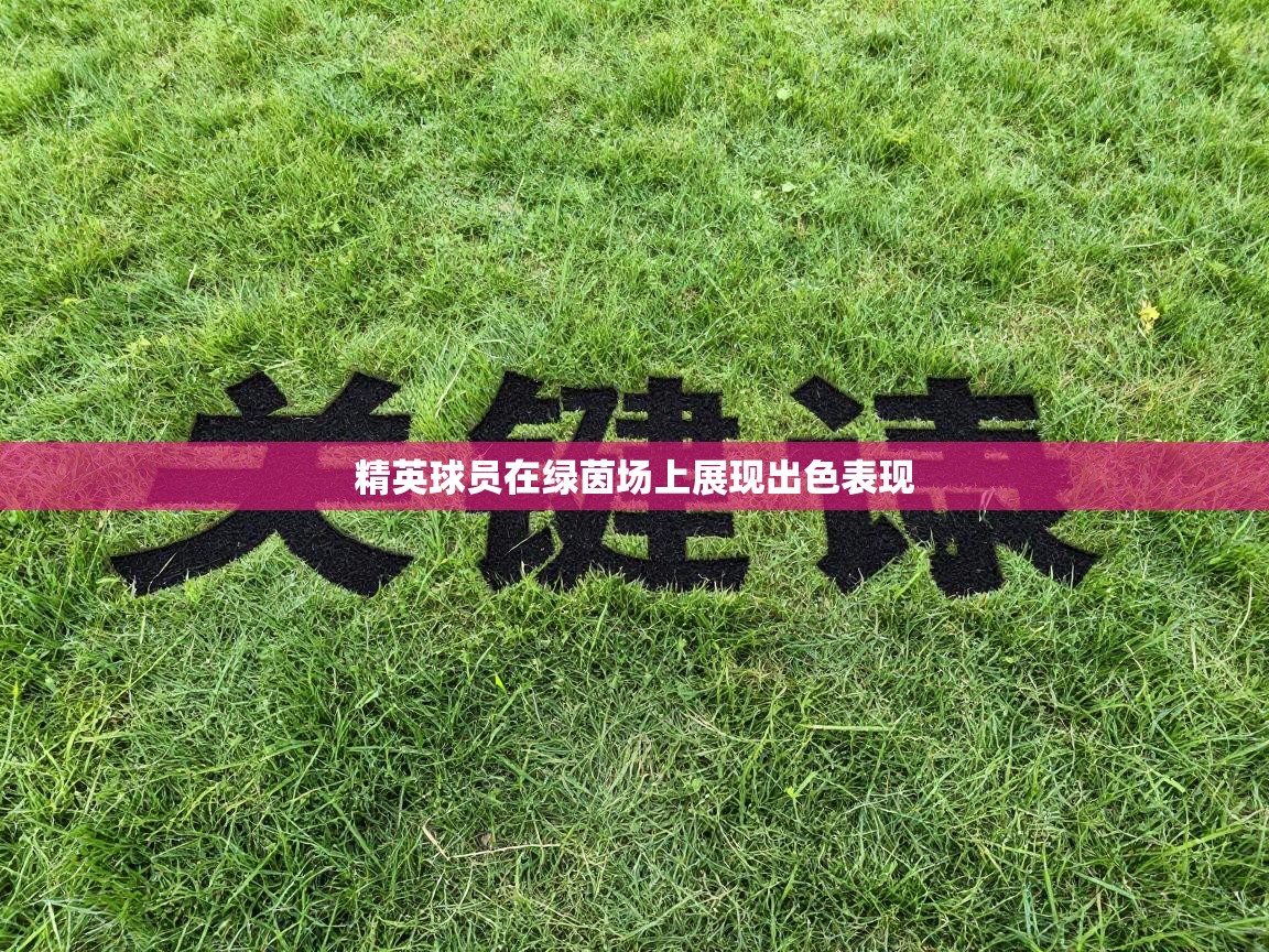 精英球员在绿茵场上展现出色表现