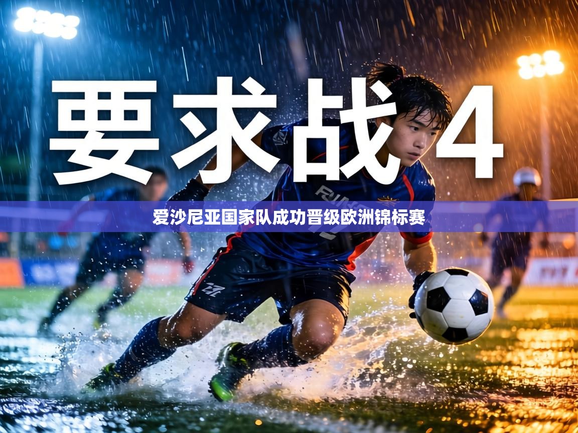 爱沙尼亚国家队成功晋级欧洲锦标赛  第2张